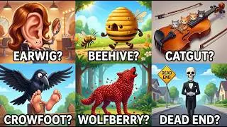 Literal vs Real Meaning of English Compound Words – Earwig, Arrowhead, Wolfberry & More [Part 13]