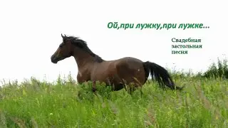 Ой,при лужку,при лужке...  на гармони