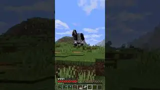 Bdub's Horse Can Fly?