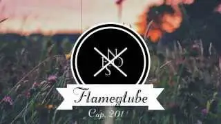 Cos'è FlamegTube?