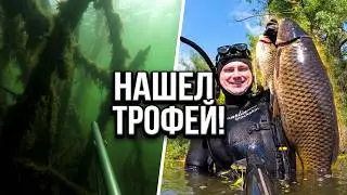 Spearfishing - Got a nice trophy