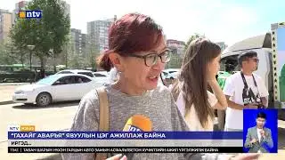 Энэ жилийн хур ихтэй цаг агаараас үүдэн даршлах зориулалттай өргөст хэмх түүж амжихаас өмнө...