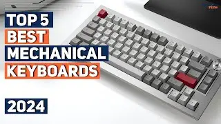 Best Mechanical Keyboard 2024 I 5 Best Mechanical Keyboards 2024