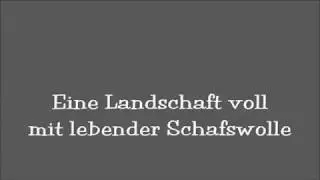 Eine Landschaft voll mit lebender Schafswolle