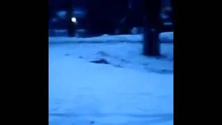 Russki zima