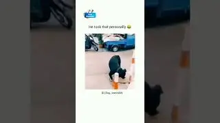 #shorts #viral