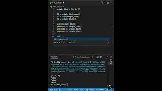 Поверхностное копирование тремя способами  #python