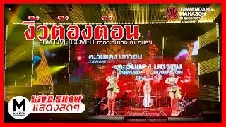 งิ้วต้องต้อน - บานเย็น รากแก่น  EDM COVER by วงศ์ตะวัน และน้องปุ้มปุ้ย