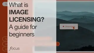 A beginner's guide to image licensing