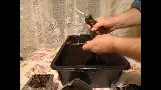 10. 02. 2023 Г. Бонфайер выпросил у Алины, своего мало.