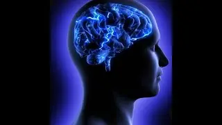 We Need to Talk About the brain spinal cord and nerves system@Brainbooster901