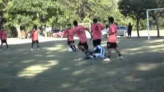 RODA COMPACTO