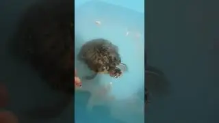 Суперкусь от Тамары