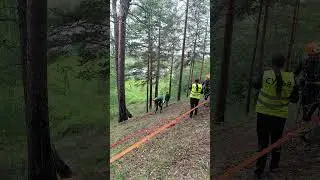 А где полезные видео? у нас на канале 