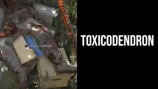 Dying Light 1 Game Toxicodendron Blueprint Location Old Town