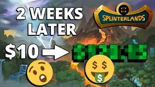 How Much Did I EARN Playing SPLINTERLANDS for 2 Weeks?