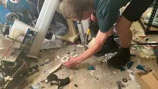 Smash cheap Mistral exhaust fan featuring CJ