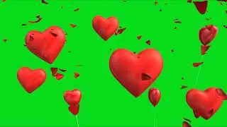 Hearts on Green Screen 3D Animation. Chroma Key animated hearts.