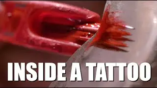 Tattoo on Transparent 