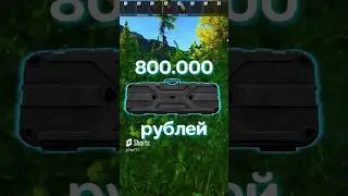 Оружейный кейс за 800 тысяч 
