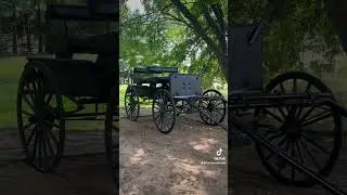Our new photo op buckboard wagon was delivered today. We are so excited!