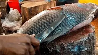 小夥切魚皮練習刀功，刷刷太秀想進大餐廳，不料憑絕技已月賺5萬~【顏值聚寶盆】