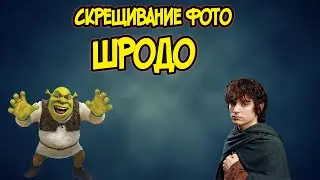 Скрещивание фото. Шродо.