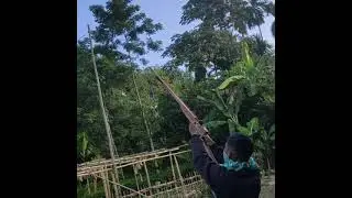 Local fun gun🤣😂💥💣 #youtube_shorts#youtube_video#no.1_tranding#diwali_dhamaka#diwali_boom