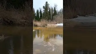 стою на мосту  😳😳 и слышу такую песню, она из вод реки льется ...🌲🌲🌲 как такое возможно...