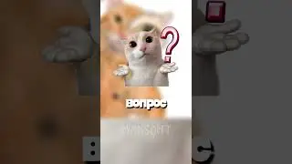 A cat once worked at Pyaterochka