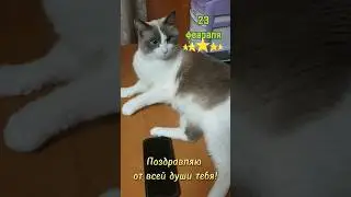 23 февраля #юмор #приколы #23февраля