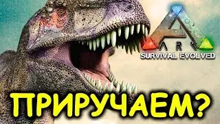 ARK КАК ПРИРУЧИТЬ ДРАКОНА