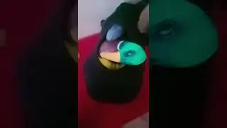 как я собоковал уток