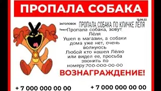 ПРОПАВШАЯ ЛЁЛЯ (2 СЕРИЯ)