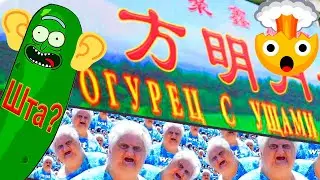 САМЫЕ ДУРАЦКИЕ КИТАЙСКИЕ ВЫВЕСКИ