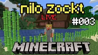 Silent Minecraft Live Stream (deutsch) #003 - Das Haus wird fertig! (TONSTÖRUNG)