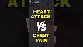Heart Attack Pain Vs Normal Chest Pain #shorts #heartattack #bhushanscience