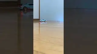 Audi drift