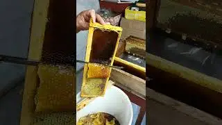 Пасечный НОЖ (Смычок)