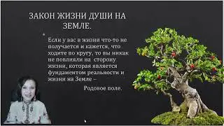МАРАФОН СИЛА РОДА .3