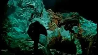 Король и Шут - Блуждают тени