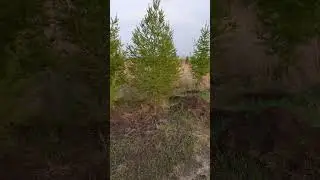 11 мая 2023 г.