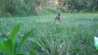 Kids Explosive Fail funny retard dude