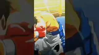 EDIT-IPPO