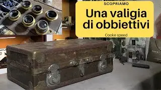 Un incredibile ritrovamento in un mercatino