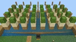 How to Make - AUTO Cactus Farm CubeCraft Skyblock (2024)