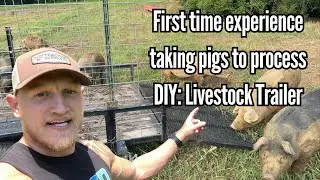 Taking pigs to processor on a DIY livestock trailer