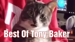 New! | The Best of Tony Baker Voice Over