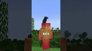 what if minecraft had rats?