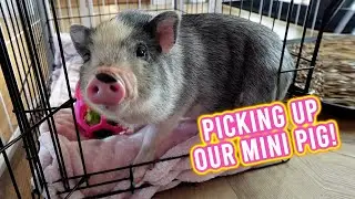 Bringing Our Baby 